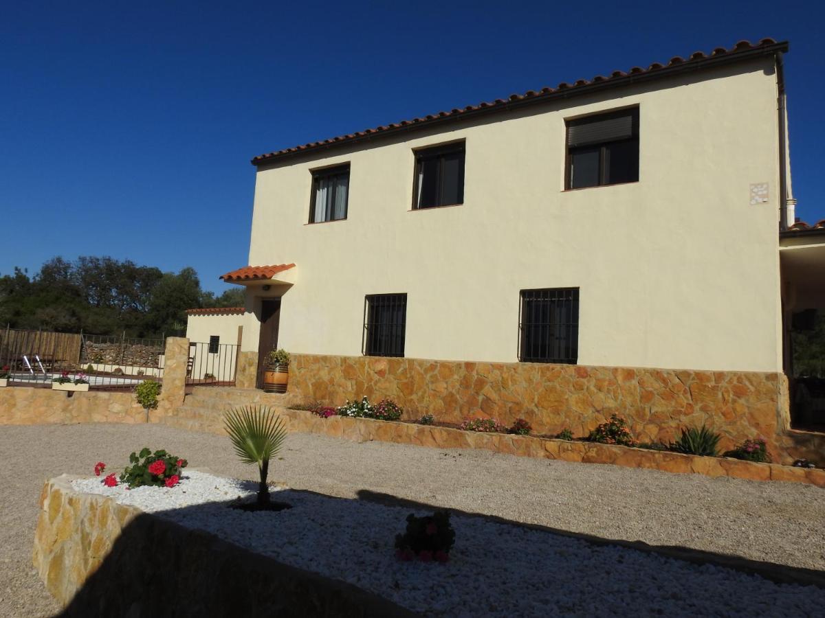 Apartmán El Niu Dels Paputs Castellón de la Plana Exteriér fotografie